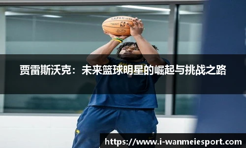 完美电竞平台
